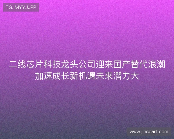 二线芯片科技龙头公司迎来国产替代浪潮加速成长新机遇未来潜力大